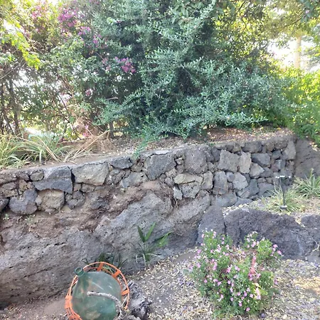 Villa Clarenza - House *